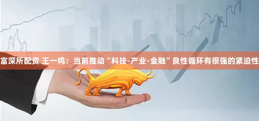 富深所配资 王一鸣：当前推动“科技-产业-金融”良性循环有很强的紧迫性