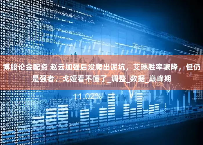 博股论金配资 赵云加强后没爬出泥坑，艾琳胜率骤降，但仍是强者，戈娅看不懂了_调整_数据_巅峰期