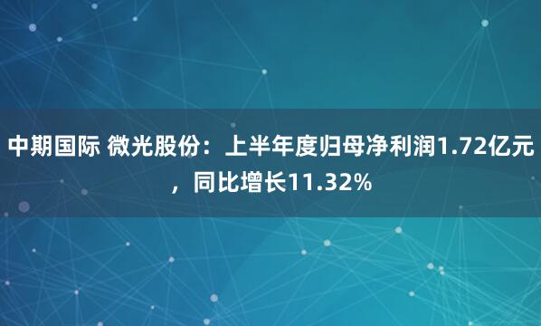 中期国际 微光股份：上半年度归母净利润1.72亿元，同比增长11.32%