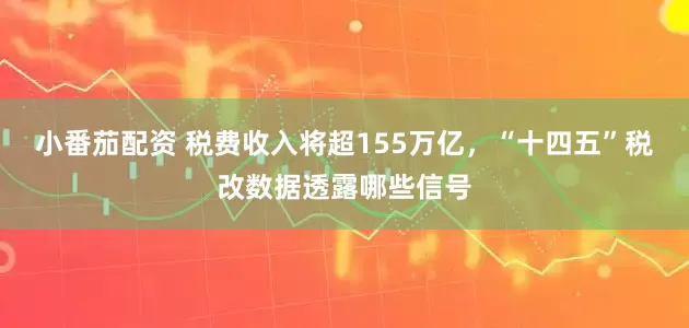 小番茄配资 税费收入将超155万亿，“十四五”税改数据透露哪些信号