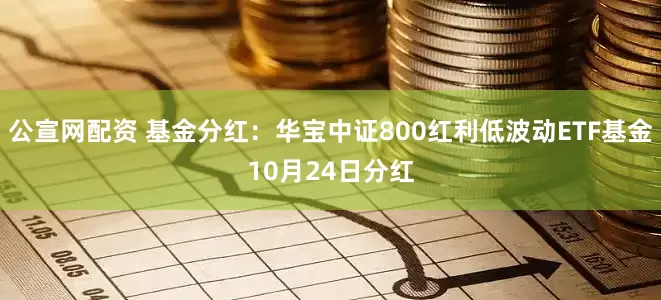 公宣网配资 基金分红:华宝中证800红利低波动ETF基金10月24日分红